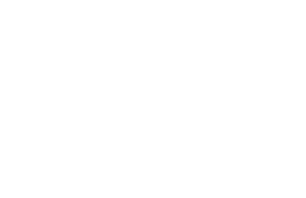 Logo FAME