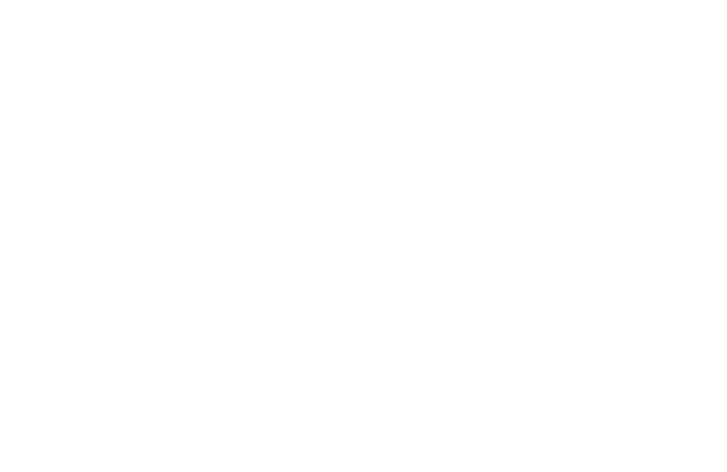 Logo FAME