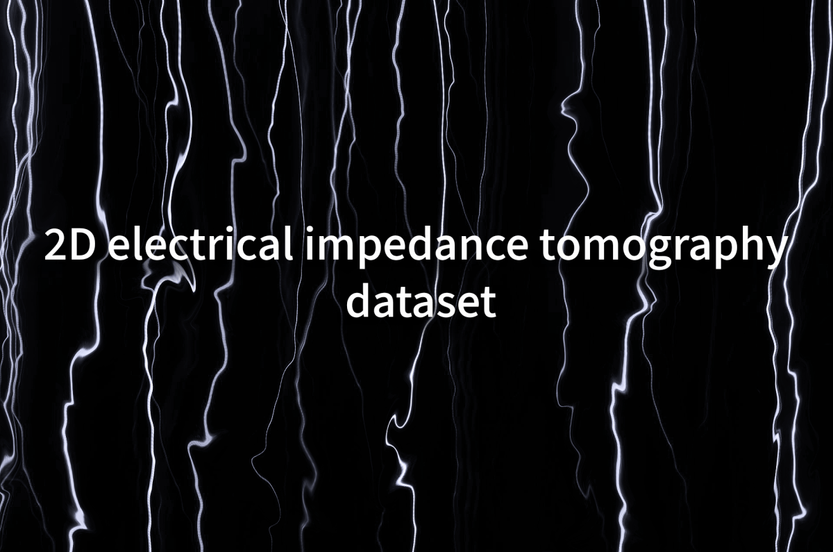 2D electrical impedance tomography dataset