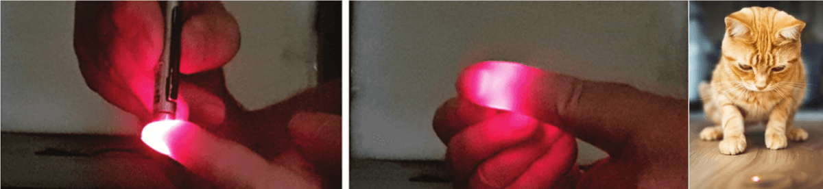 blog_figure1